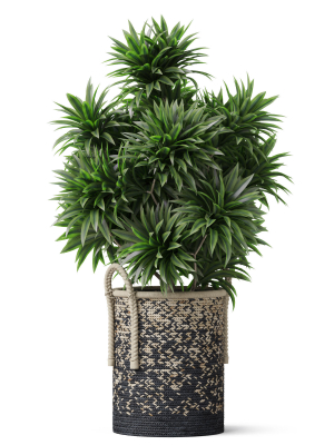 plants-collection-804-3d-model-max-obj-fbx-c4d-blend