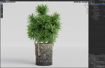 Plants collection 804