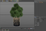 Plants collection 804