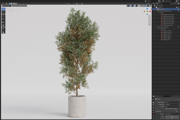 Plants collection 807