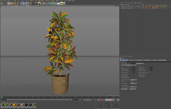 Plants collection 810