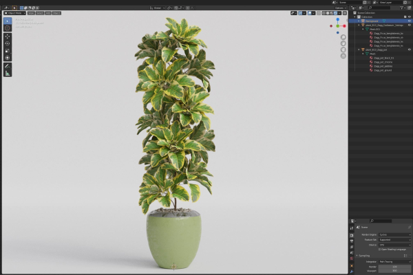Plants collection 813