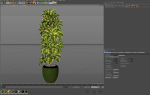 Plants collection 813