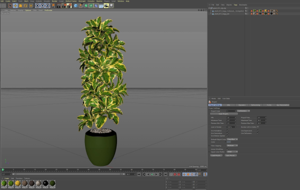 Plants collection 813