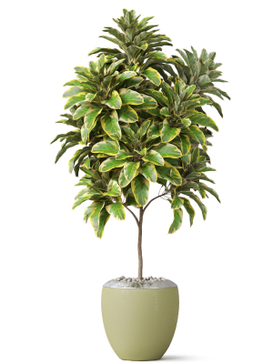 plants-collection-814-3d-model-max-obj-fbx-c4d-blend