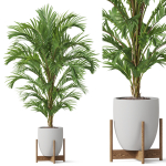 Plants collection 815