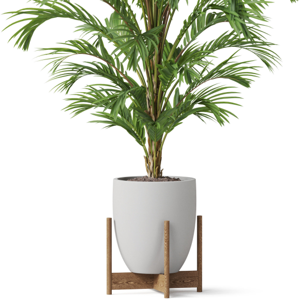 Plants collection 815