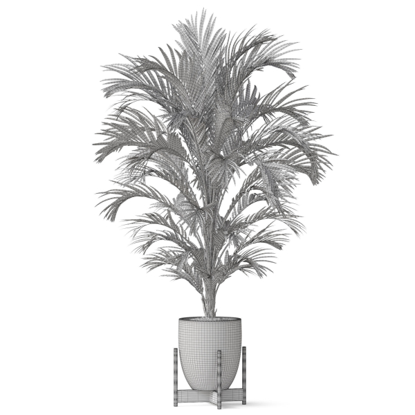 Plants collection 815