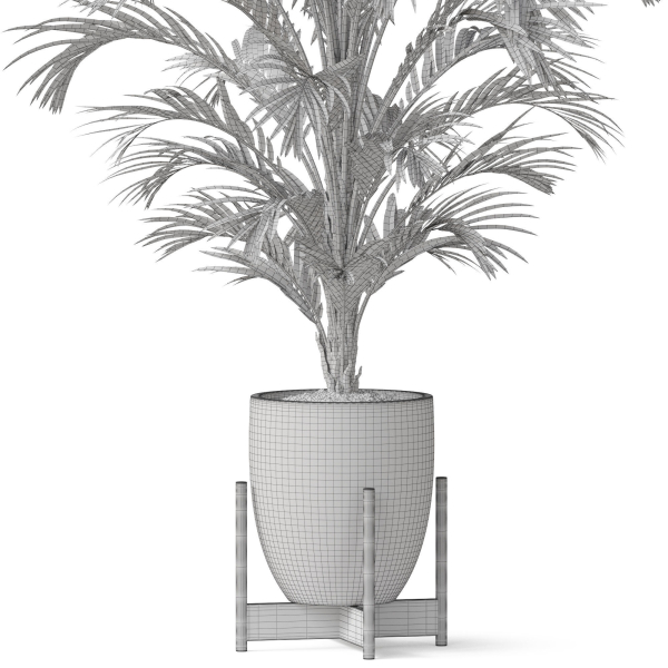 Plants collection 815