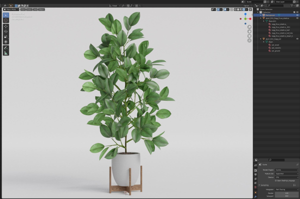 Plants collection 816