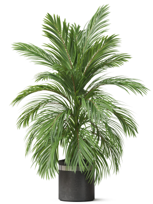 plants-collection-821-3d-model-max-obj-fbx-c4d-blend