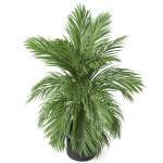 Plants collection 821