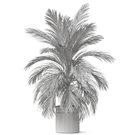 Plants collection 821