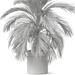 Plants collection 821
