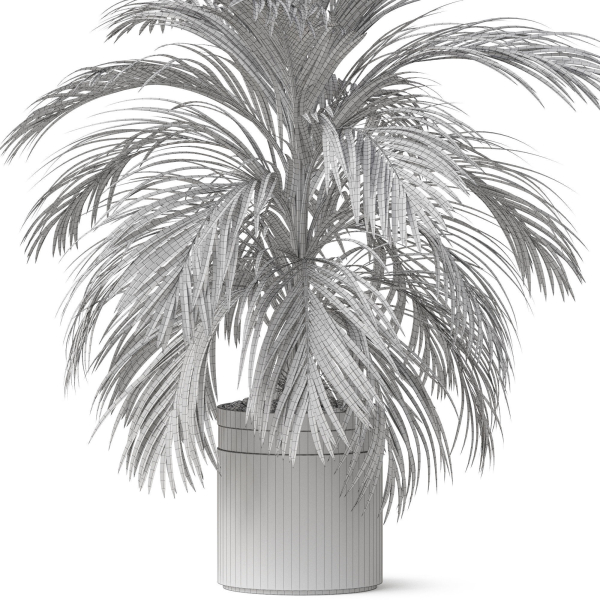 Plants collection 821