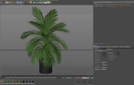 Plants collection 821