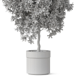 Plants collection 826
