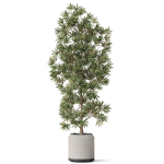 Plants collection 840