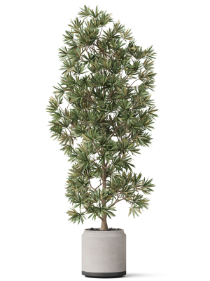 plants-collection-840-3d-model-max-obj-fbx-c4d-blend