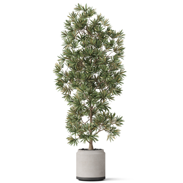 Plants collection 840