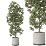 Plants collection 840