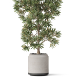 Plants collection 840
