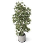 Plants collection 840