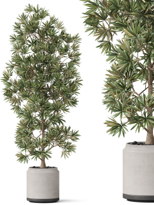 Plants collection 840