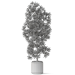 Plants collection 840