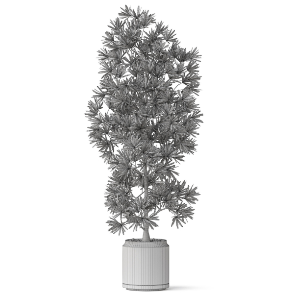 Plants collection 840