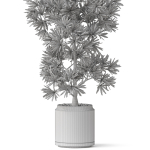 Plants collection 840