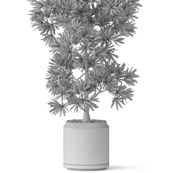 Plants collection 840