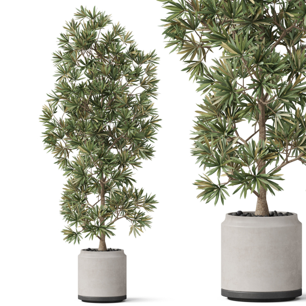 Plants collection 840