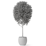 Plants collection 843