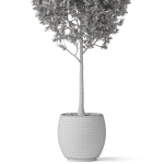 Plants collection 843