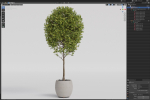 Plants collection 843