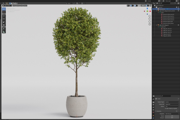 Plants collection 843