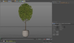 Plants collection 843