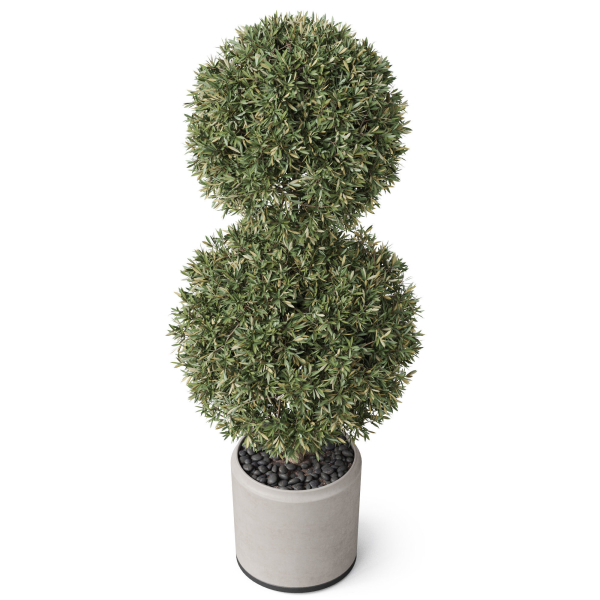 Plants collection 850