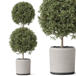 Plants collection 850