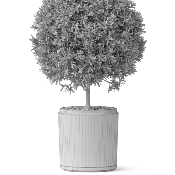 Plants collection 850
