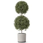 Plants collection 850