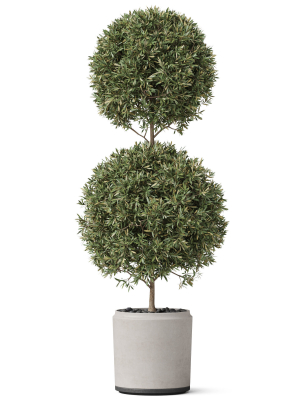 plants-collection-850-3d-model-893c4805a3