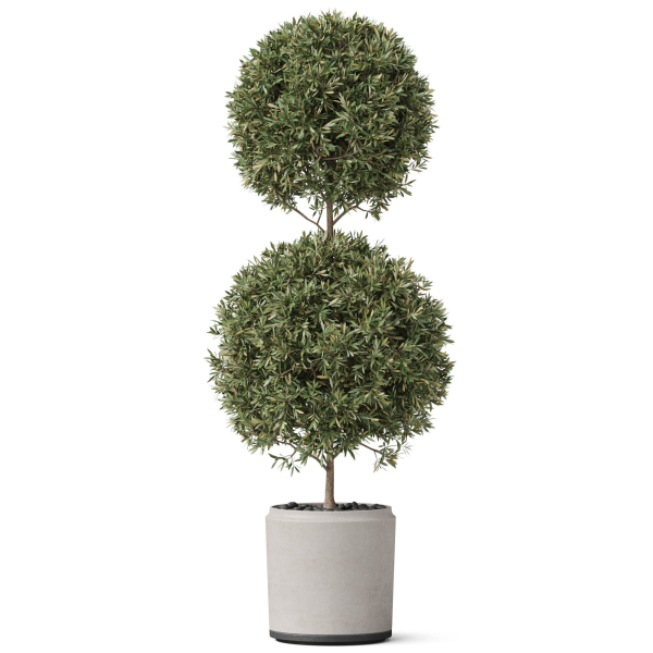Plants collection 850