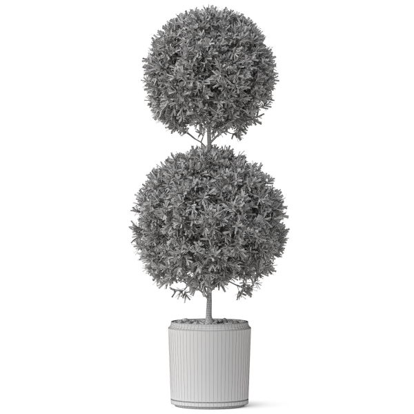 Plants collection 850