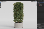 Plants collection 852