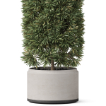 Plants collection 852