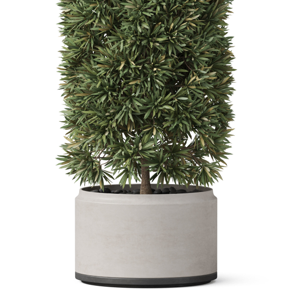 Plants collection 852