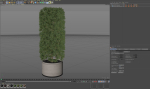 Plants collection 852