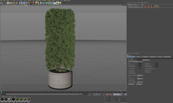 Plants collection 852